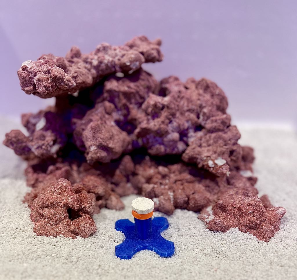 •“Frag Sand Stand holding coral plugs in sand bed”
•“3D printed coral plug holder in vibrant colors”•“Angled design of Frag Sand Stand for optimal coral placement”