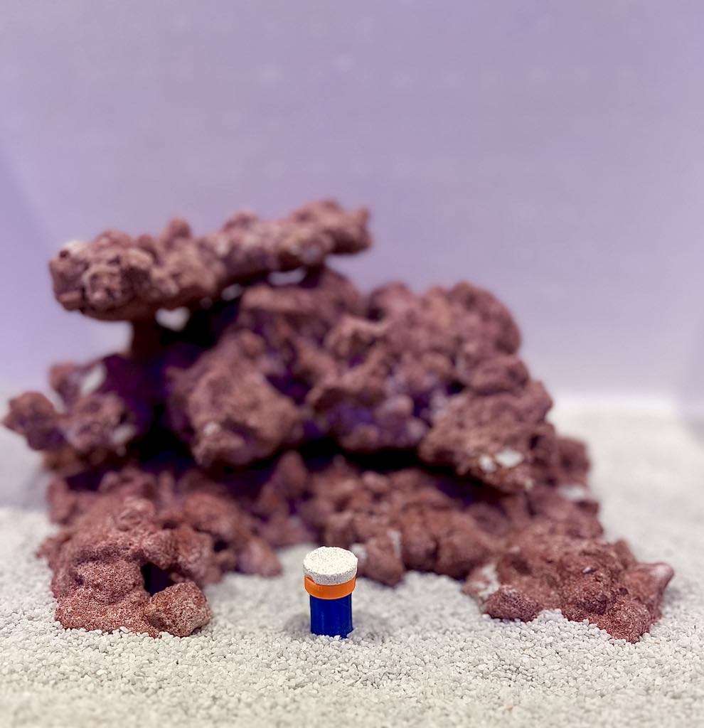 •“Frag Sand Stand holding coral plugs in sand bed”
•“3D printed coral plug holder in vibrant colors”•“Angled design of Frag Sand Stand for optimal coral placement”