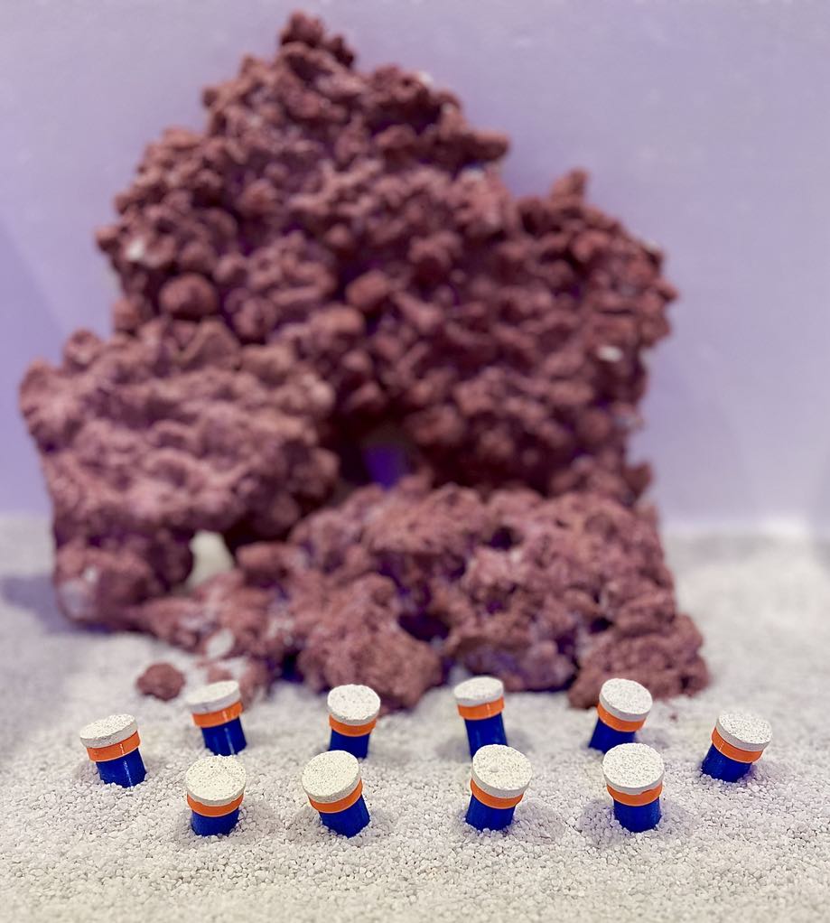 •“Frag Sand Stand holding coral plugs in sand bed”
•“3D printed coral plug holder in vibrant colors”•“Angled design of Frag Sand Stand for optimal coral placement”