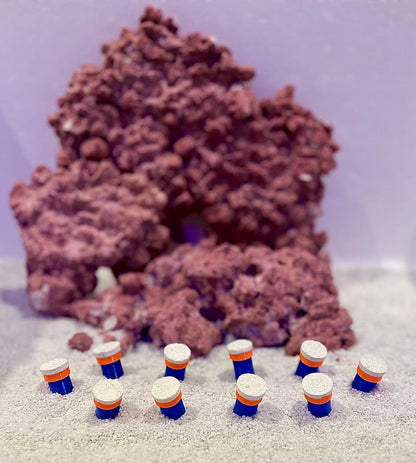 •“Frag Sand Stand holding coral plugs in sand bed”
•“3D printed coral plug holder in vibrant colors”•“Angled design of Frag Sand Stand for optimal coral placement”