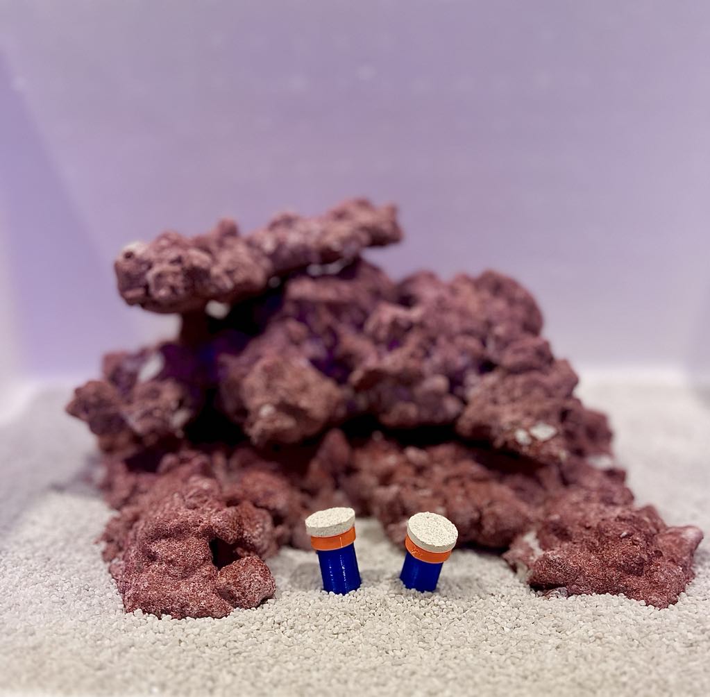 •“Frag Sand Stand holding coral plugs in sand bed”
•“3D printed coral plug holder in vibrant colors”•“Angled design of Frag Sand Stand for optimal coral placement”