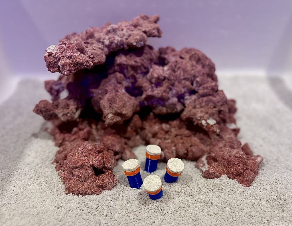•“Frag Sand Stand holding coral plugs in sand bed”
•“3D printed coral plug holder in vibrant colors”•“Angled design of Frag Sand Stand for optimal coral placement”