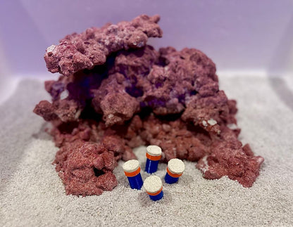 •“Frag Sand Stand holding coral plugs in sand bed”
•“3D printed coral plug holder in vibrant colors”•“Angled design of Frag Sand Stand for optimal coral placement”