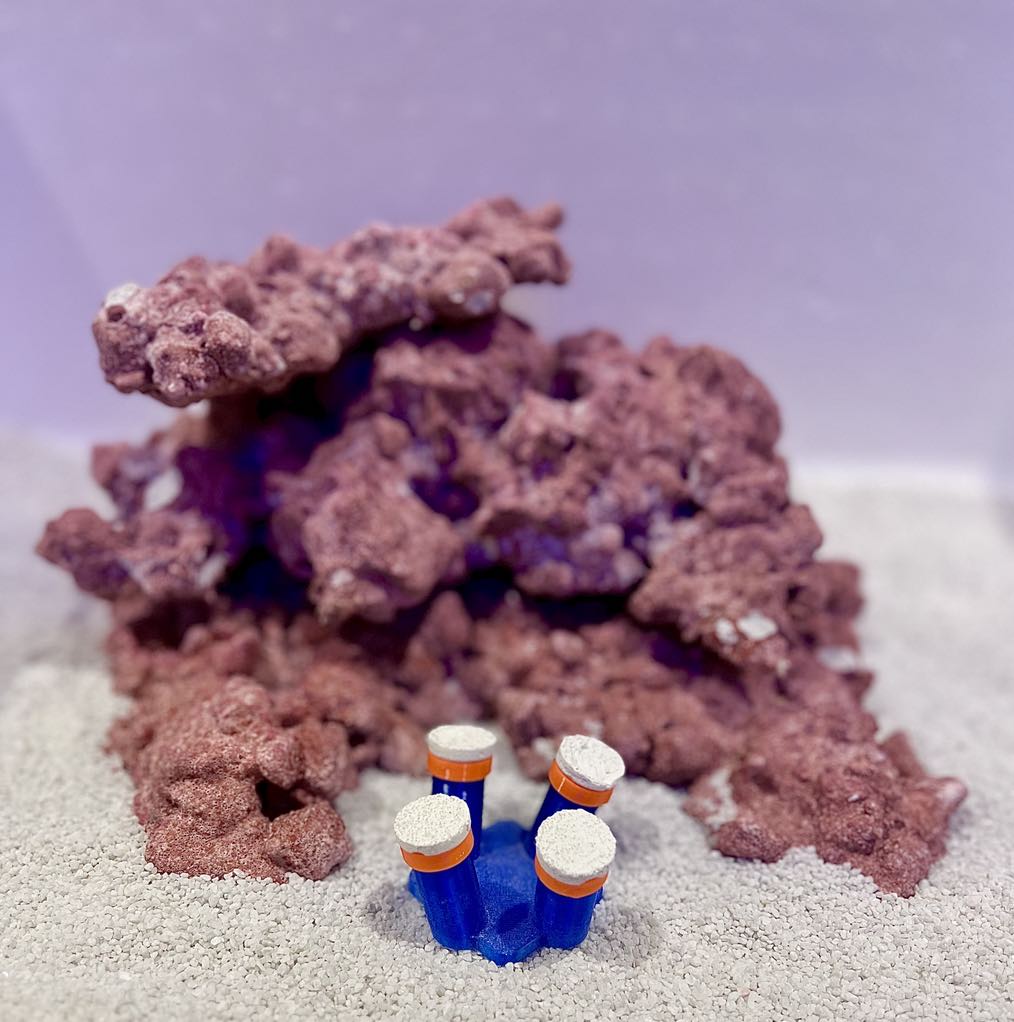 •“Frag Sand Stand holding coral plugs in sand bed”
•“3D printed coral plug holder in vibrant colors”•“Angled design of Frag Sand Stand for optimal coral placement”