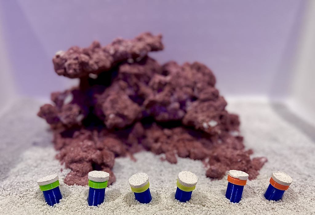 •“Frag Sand Stand holding coral plugs in sand bed”
•“3D printed coral plug holder in vibrant colors”•“Angled design of Frag Sand Stand for optimal coral placement”