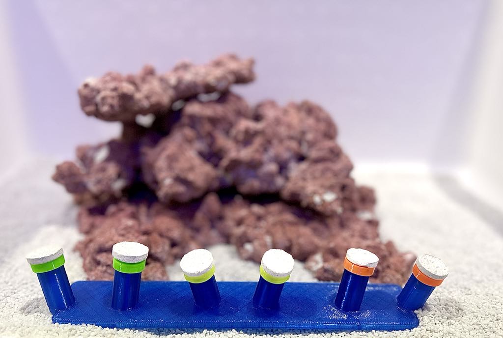 •“Frag Sand Stand holding coral plugs in sand bed”
•“3D printed coral plug holder in vibrant colors”•“Angled design of Frag Sand Stand for optimal coral placement”